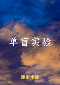 单盲双盲三盲