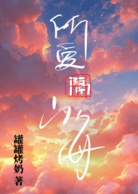 秦医生和大宝的电视剧叫什么名字