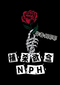 百色与南宁对比